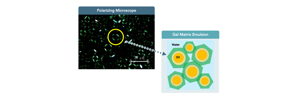Optical image of gel matrix emulsion created by NIKKOL NIKKOMULESE® 41S